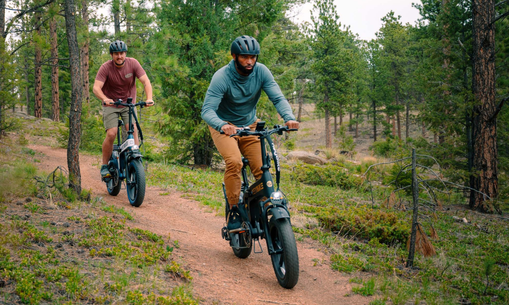 electric bicycles edmonton