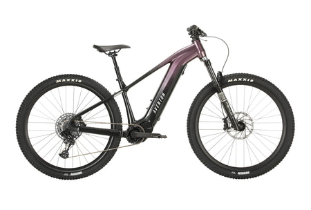 Aurora Aventon Ramblas Ebike