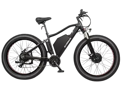 Silverback discount e fatbike