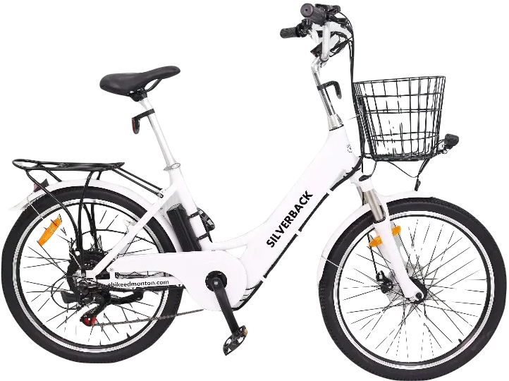 SILVERBACK Cruiser 24 EBike Edmonton