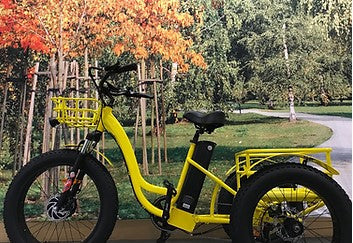 Ebike Trike. Model TRIKE 08. Folding. EBikes Edmonton. Shop EBikes.